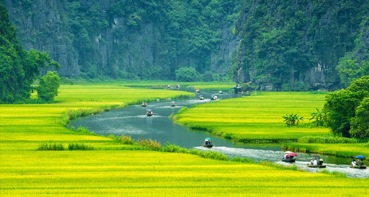 Tam Cốc Ninh Bình sông Ngô Đồng