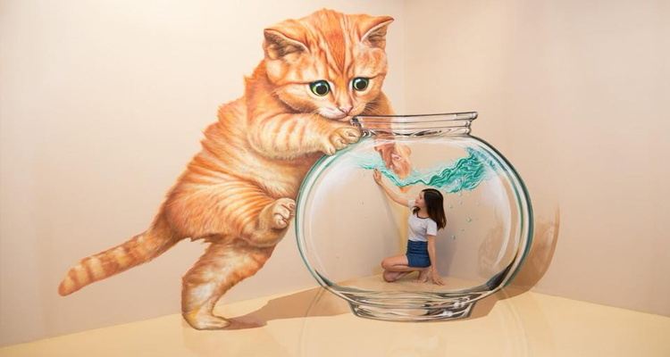 Bảo tàng tranh 3D - mèo