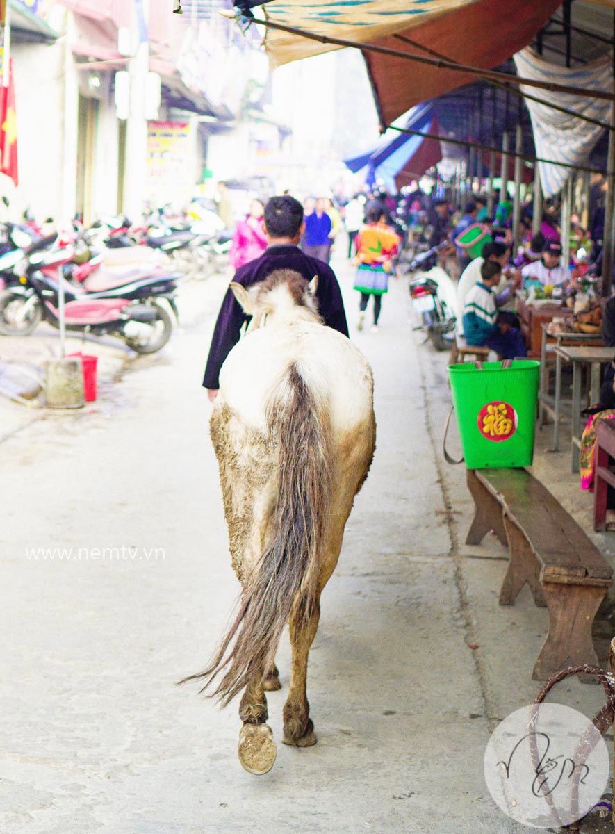 Chợ Bắc Hà Lào Cai 44