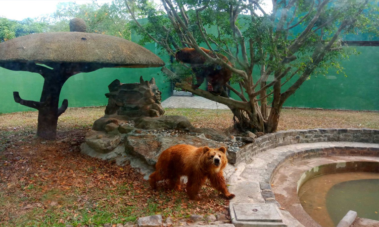 Khu du lịch Vườn Xoài - vườn thú