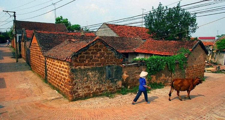 Kinh nghiệm du lịch Hà Nội làng cổ đường lâm