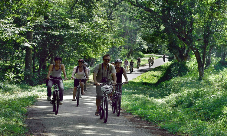 Vườn quốc gia Cúc Phương - đạp xe