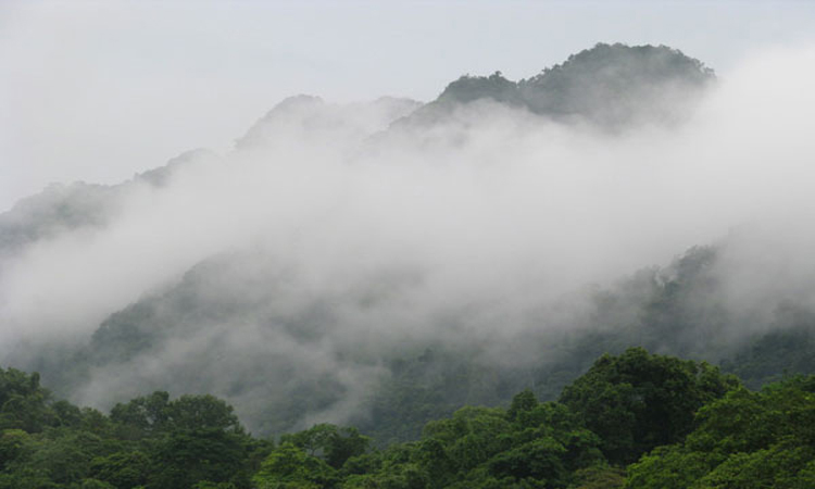 Vườn quốc gia Cúc Phương Ninh Bình - đỉnh mây bạc