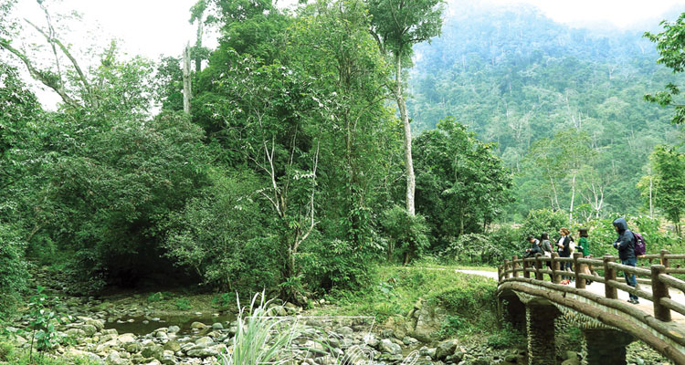 Vườn quốc gia Xuân Sơn rừng cây