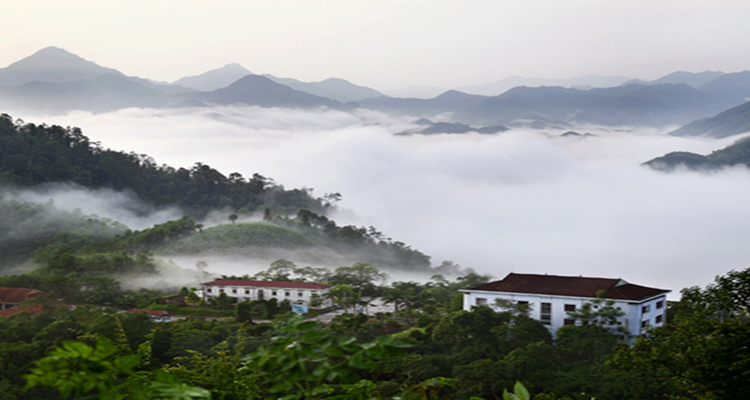 Vườn quốc gia Xuân Sơn săn mây