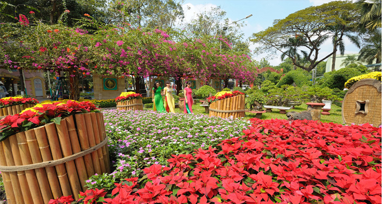 Công viên văn hóa Đầm Sen - hoa