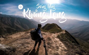 Sống lưng khủng long nhìn từ trên cao như thế nào