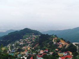 “Studio ngoài trời” mới toanh ở Tam Đảo chỉ với 10k có ngay cả tỷ shoot ảnh đẹp