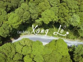 Khám phá cánh rừng Săng Lẻ được coi là “Báu Vật” ở Nghệ An qua góc nhìn Flycam