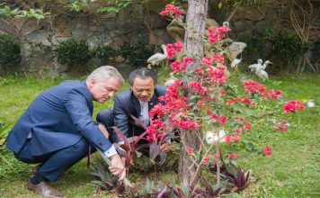 Khu nghỉ dưỡng Flamingo Đại Lải – Điểm hẹn du Xuân khu nghỉ dưỡng Flamingo Đại Lải