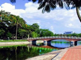 Công viên Thống Nhất Hà Nội và những điều chưa kể công viên thống nhất hà nội