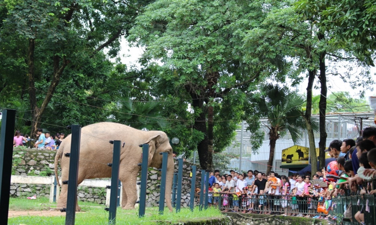 Công viên Thủ Lệ Hà Nội - vườn thú