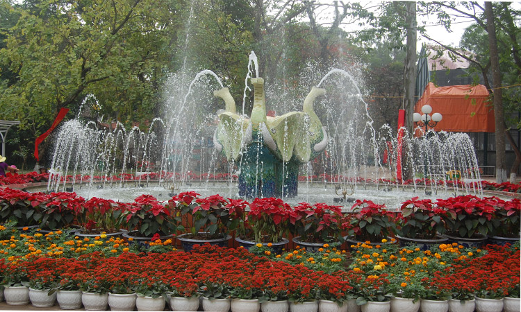 Công viên Thủ Lệ Hà Nội - vườn hoa