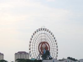 Hồ Tây Hà Nội – Một chút yên bình giữa lòng thủ đô Hồ Tây ở đâu