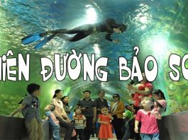 Kinh nghiệm đi Thiên đường Bảo Sơn – Ăn gì, chơi gì? kinh nghiệm đi thiên đường bảo sơn hà nội