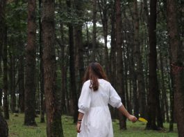 Vườn quốc gia Ba Vì – Địa điểm đi chơi gần Hà Nội lí tưởng vườn quốc gia ba vì