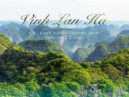 Du lịch Vịnh Lan Hạ – “Vịnh đẹp nhất hành tinh?” du lịch vịnh lan hạ hải phòng