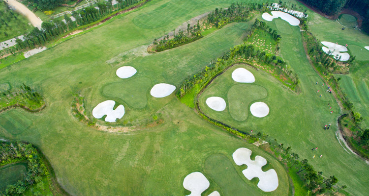 Sân golf Flamingo Đại Lải