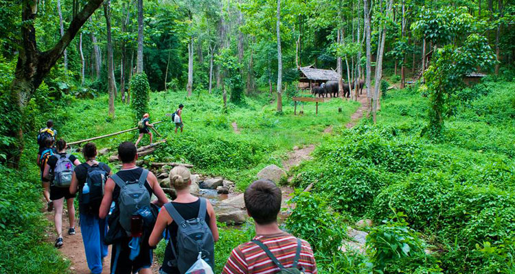 Dành một ngày để khám phá xem vườn quốc gia Cúc Phương có gì?