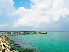 “Bỏ túi” kinh nghiệm đi du lịch biển Cần Giờ từ A – Z 2019 Biển Cần Giờ - toàn cảnh