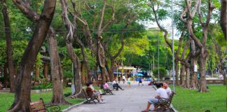 Công viên Lê Văn Tám - công viên