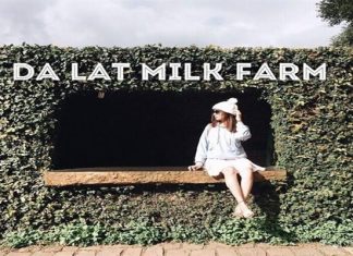 Đà Lạt milk farm - ảnh đại diện