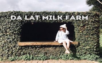 Đà Lạt milk farm - ảnh đại diện