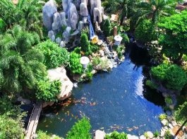 Kinh nghiệm đi khu du lịch Vườn Xoài mới cập nhật 2019 Khu du lịch Vườn Xoài - du lịch