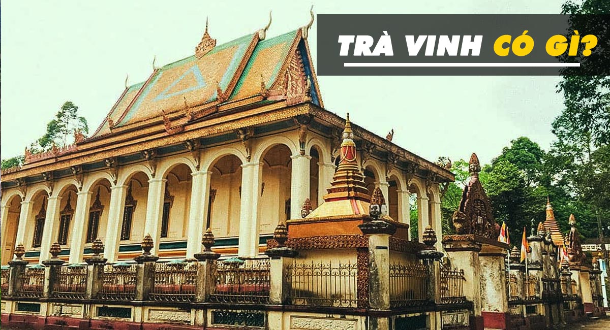 Trà Vinh có gì chơi? 8+ địa điểm du lịch Trà Vinh nổi tiếng