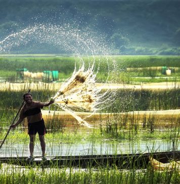 Lên đường đến Đồng Tháp! Qua Vườn quốc gia Tràm Chim vào mùa nào? Vườn quốc gia Tràm Chim - có gì