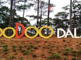 Zoodoo Đà Lạt có gì để khám phá nhỉ? Chả biết nhưng đây là điểm rất hút khách du lịch zoodoo Đà lạt