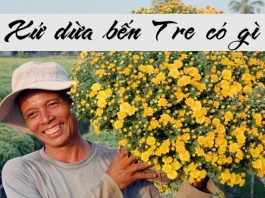 Bến Tre có gì chơi? Hé lộ 5+ địa điểm thú vị tại Bến Tre cho bạn Bến Tre có gì 13