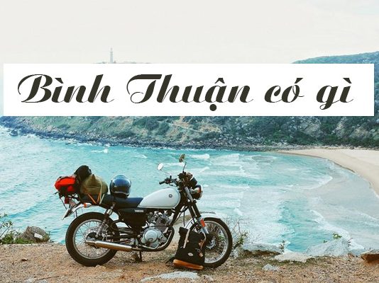 Bình Thuận có gì chơi? Check-in 5+ điểm du lịch hot nhất Bình Thuận Bình Thuận có gì 02
