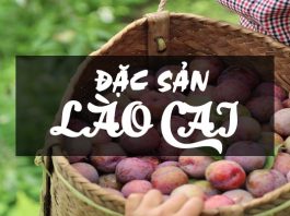 Top 7 món ăn đặc sản Lào Cai “không ăn không về”! Đặc sản Lào Cai - mận