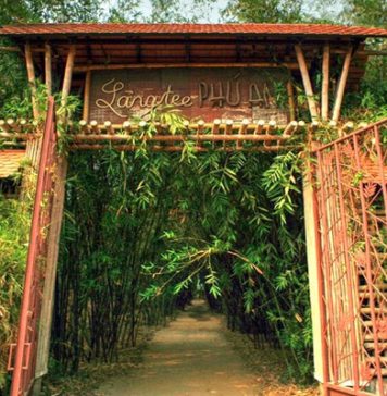 Làng tre Phú An – Nơi bảo tồn tre cho những người yêu thích thiên nhiên Làng tre Phú An