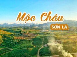 Bỏ túi kinh nghiệm du lịch Mộc Châu chi tiết