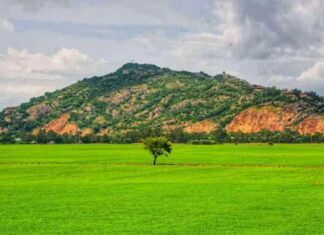 “Bỏ túi” trọn bộ kinh nghiệm du lịch núi Sam chi tiết từ A-Z