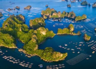 Kinh nghiệm du lịch Vân Đồn: Ăn gì, chơi gì, ở đâu?