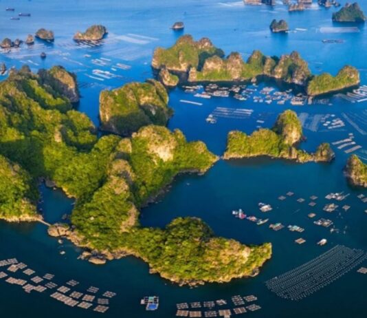 Kinh nghiệm du lịch Vân Đồn: Ăn gì, chơi gì, ở đâu?